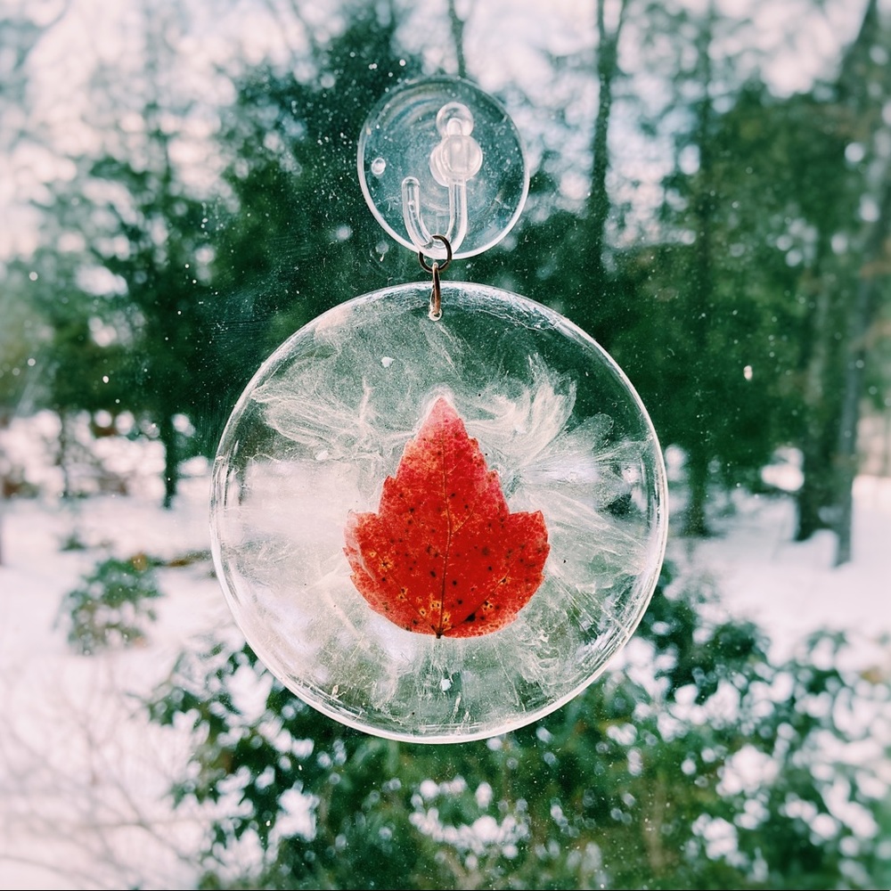 🛑 SOLD 🛑  Red Maple 🍁 Suncatcher